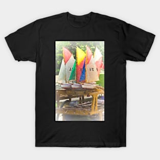 Pond Yachts For Hire T-Shirt